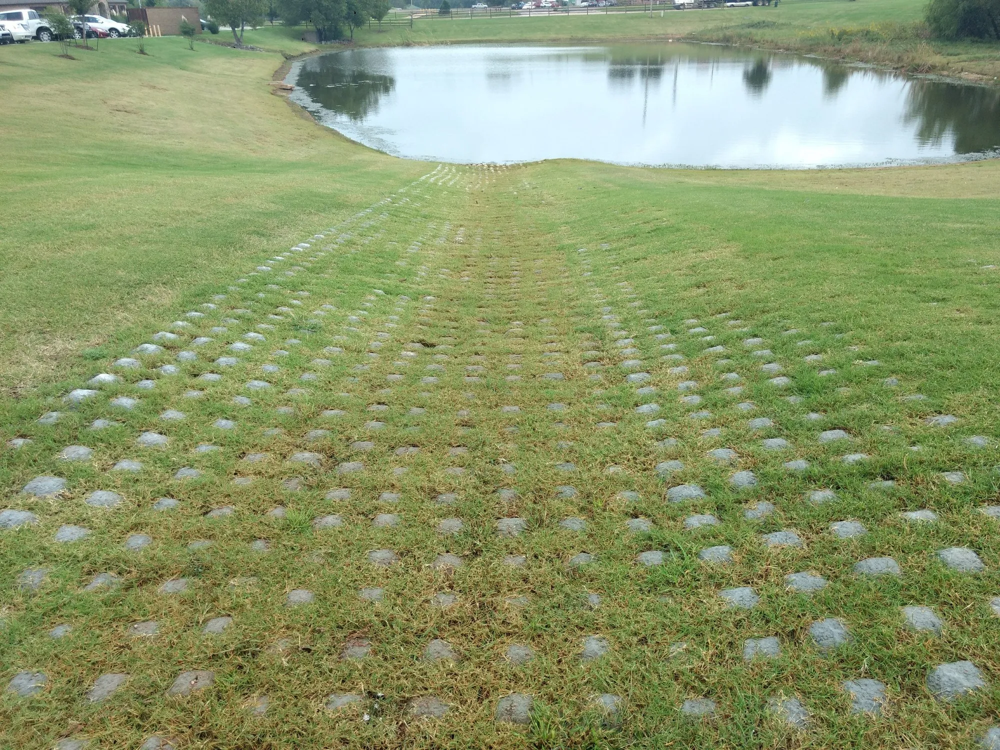 A wide grassed slope running down to a pond. Rows of small gray concrete blocks show through the grass in a regular grid.