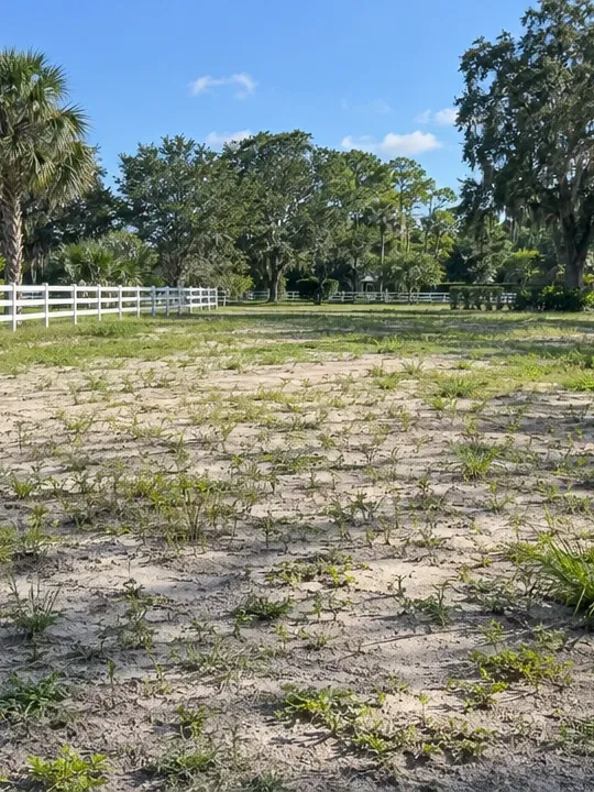 A large lot of bare sandy ground with patchy weeds, a white board fence and oak trees behind it.
