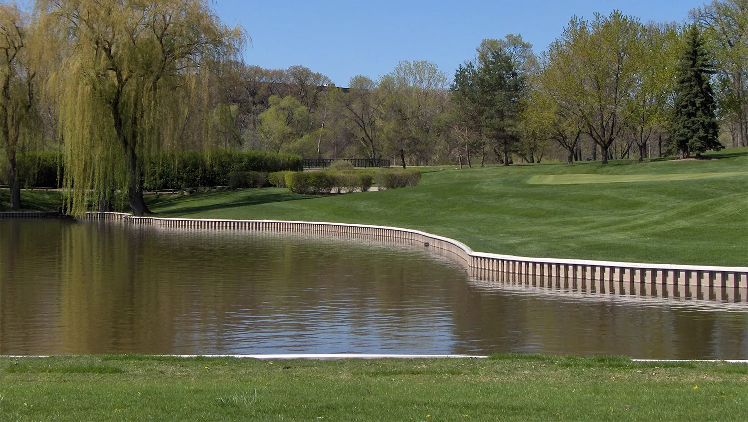 A pond on a golf course edged by a long, curving sheet-pile wall with a flat cap. Mown turf runs up from the wall to a green, with willows and other trees behind.